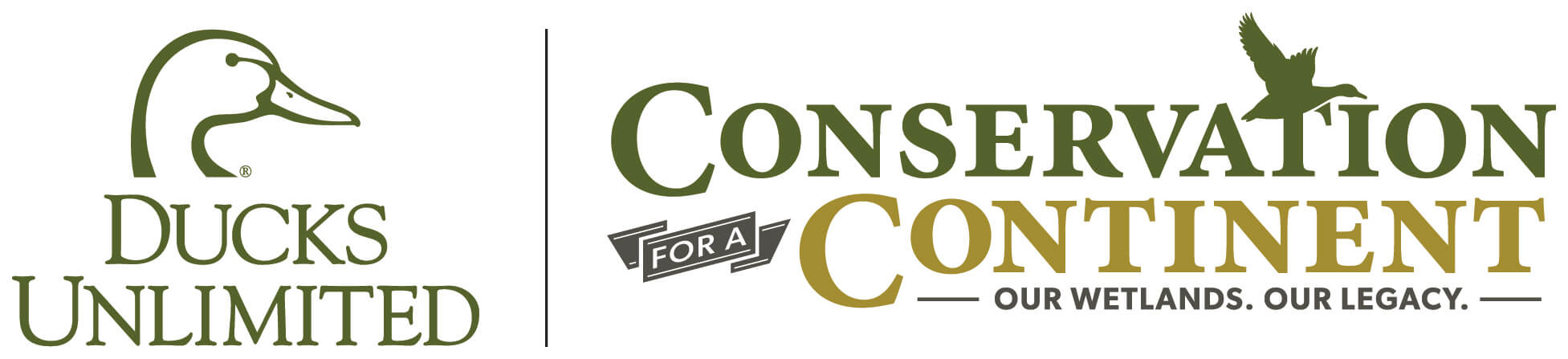 CFAC_DU Horz_4c WEB.jpg